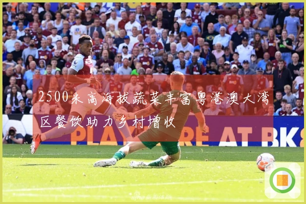 2500米高海拔蔬菜丰富粤港澳大湾区餐饮助力乡村增收