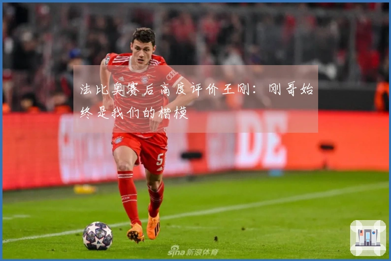 法比奥赛后高度评价王刚：刚哥始终是我们的楷模