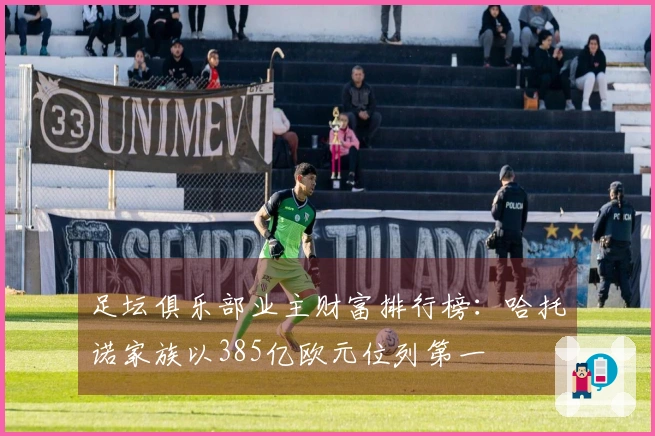 足坛俱乐部业主财富排行榜：哈托诺家族以385亿欧元位列第一